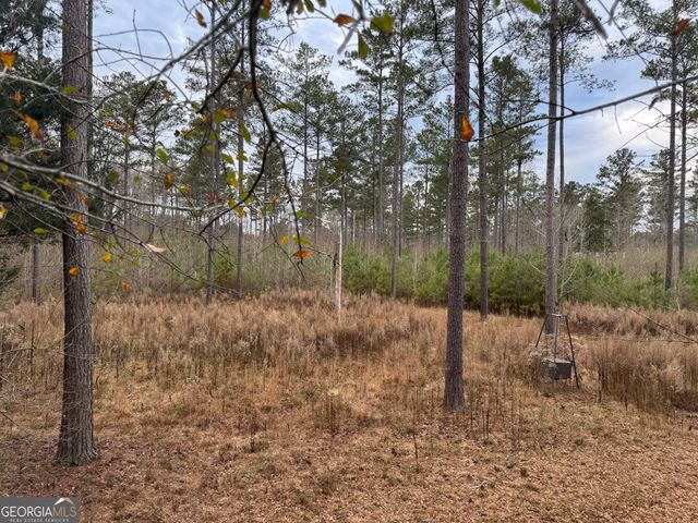 580 I B Howard Road, Williamson, GA 30292