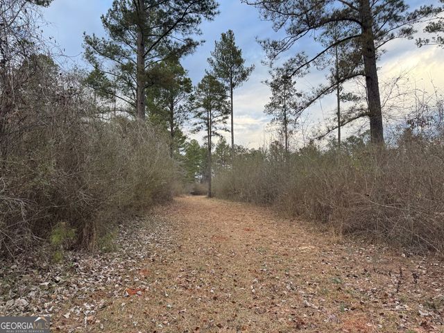 580 I B Howard Road, Williamson, GA 30292