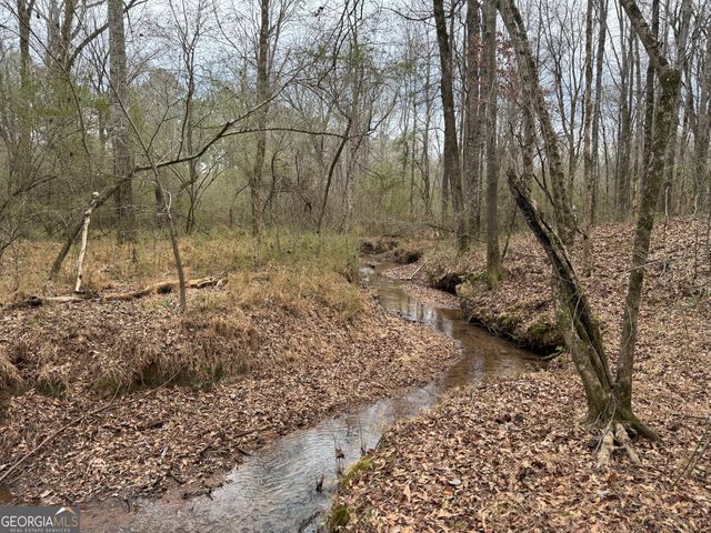 580 I B Howard Road, Williamson, GA 30292