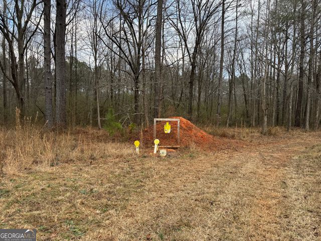 580 I B Howard Road, Williamson, GA 30292