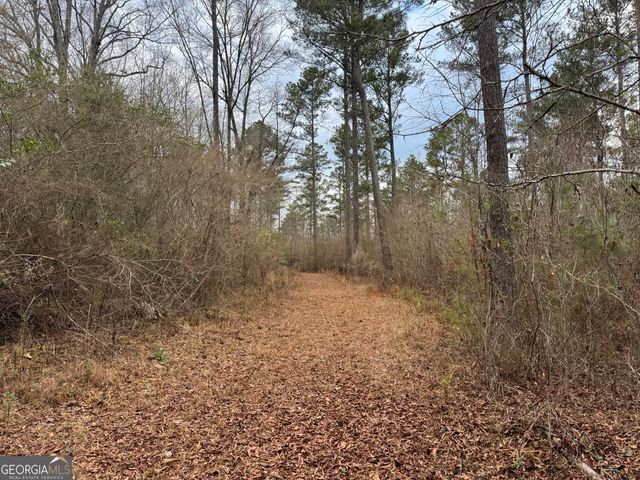 580 I B Howard Road, Williamson, GA 30292