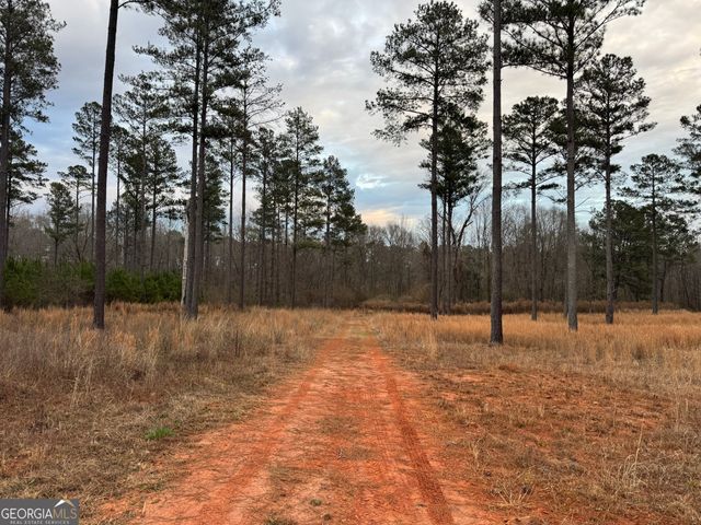 580 I B Howard Road, Williamson, GA 30292