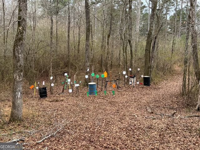 580 I B Howard Road, Williamson, GA 30292