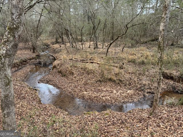 580 I B Howard Road, Williamson, GA 30292