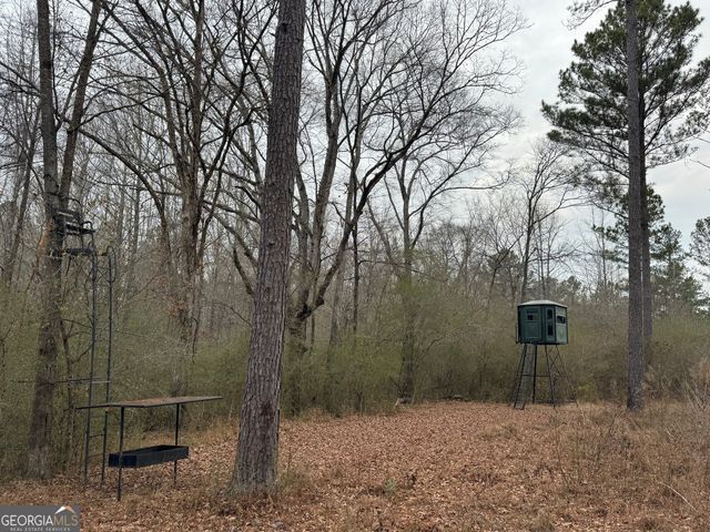 580 I B Howard Road, Williamson, GA 30292