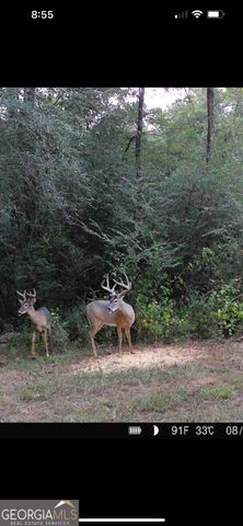 580 I B Howard Road, Williamson, GA 30292