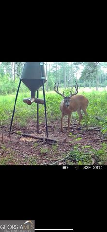 580 I B Howard Road, Williamson, GA 30292