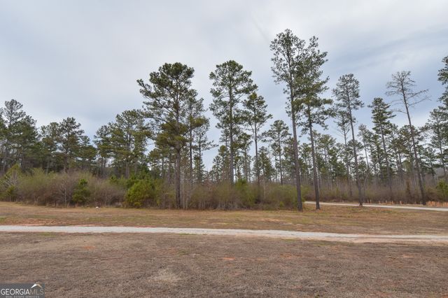 580 I B Howard Road, Williamson, GA 30292