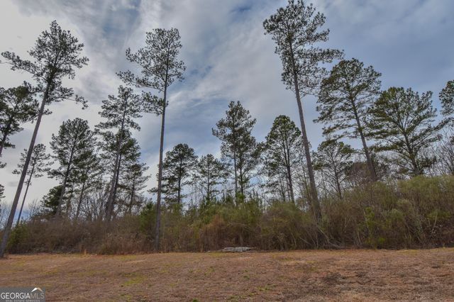 580 I B Howard Road, Williamson, GA 30292