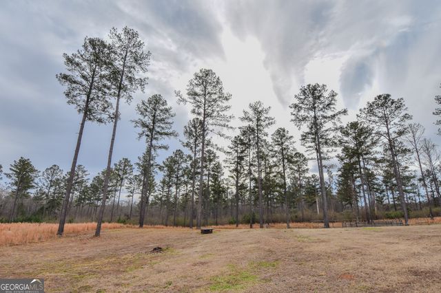 580 I B Howard Road, Williamson, GA 30292