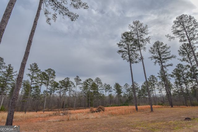 580 I B Howard Road, Williamson, GA 30292