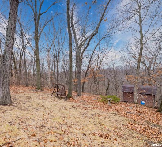 3563 W SAYMORE Lane, Peoria, IL 61615