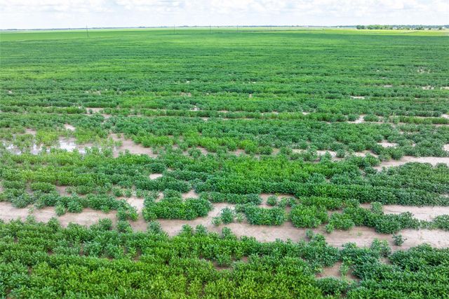 0 Cr 285, Lissie, TX 77454