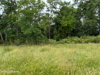Tract#5 Goatley Ln, Springfield, KY 40069