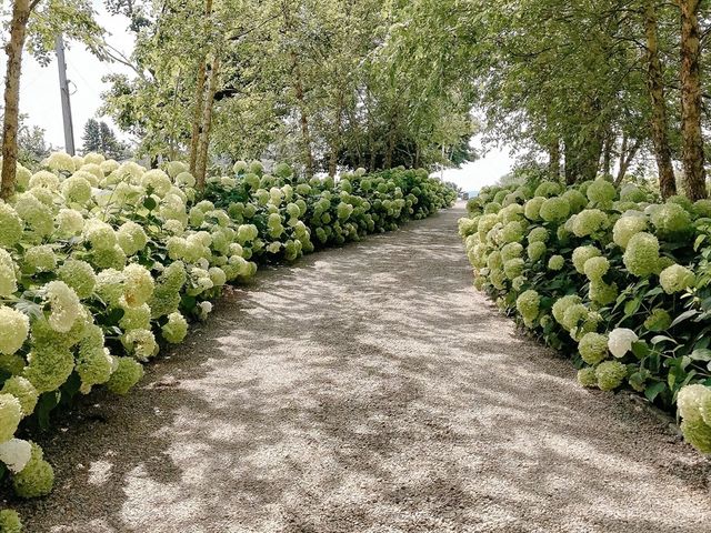 20 Seabury Point Road, Duxbury, MA 02332