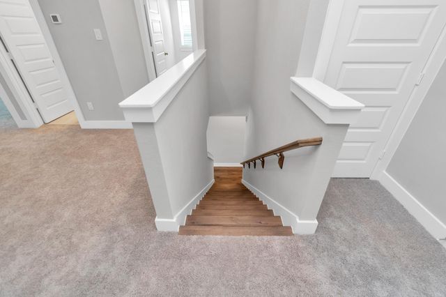 1415 Northern Brewer Trail, Houston, TX 77008