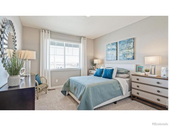 5684 Gelbray Place, Windsor, CO 80528