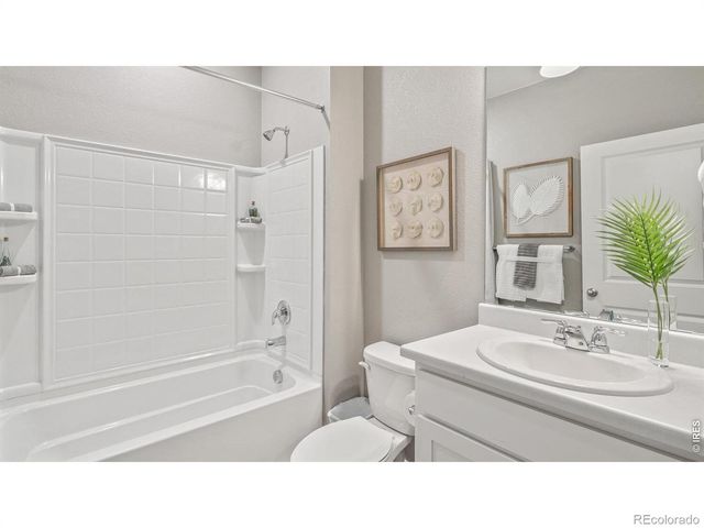 5684 Gelbray Place, Windsor, CO 80528