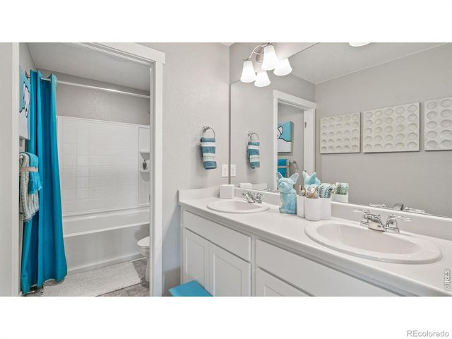 5684 Gelbray Place, Windsor, CO 80528