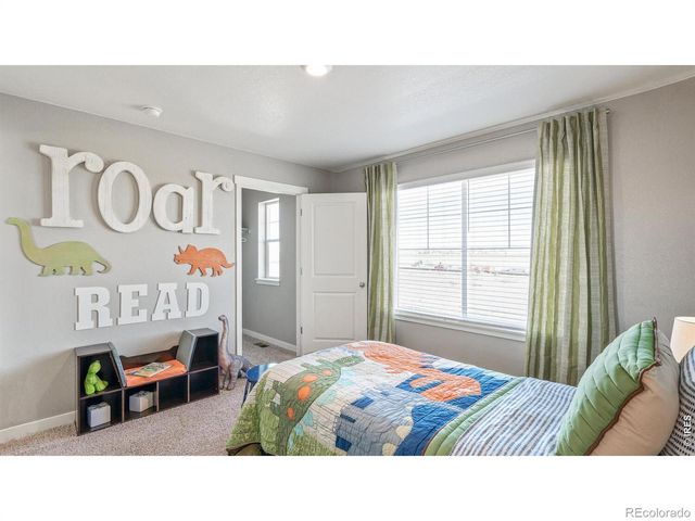 5684 Gelbray Place, Windsor, CO 80528