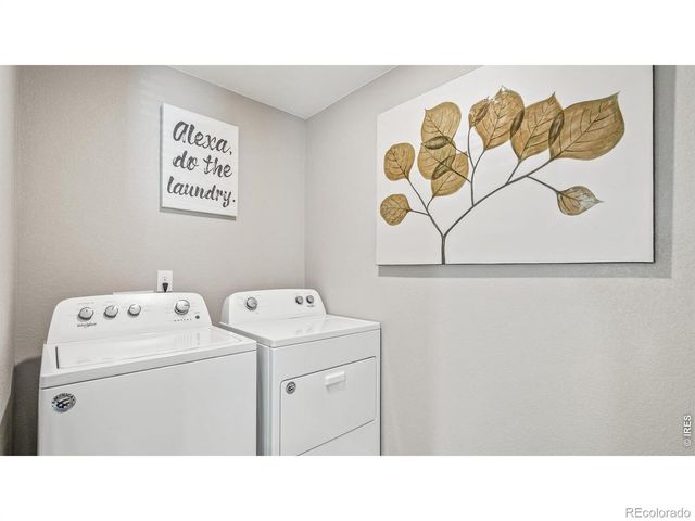 5684 Gelbray Place, Windsor, CO 80528