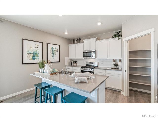 5684 Gelbray Place, Windsor, CO 80528