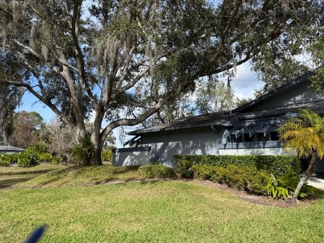 35 PINEWINDS BOULEVARD, Oldsmar, FL 34677