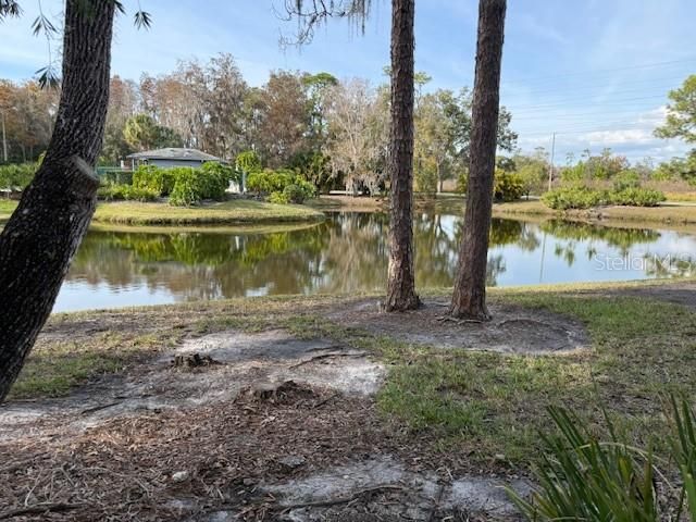 35 PINEWINDS BOULEVARD, Oldsmar, FL 34677