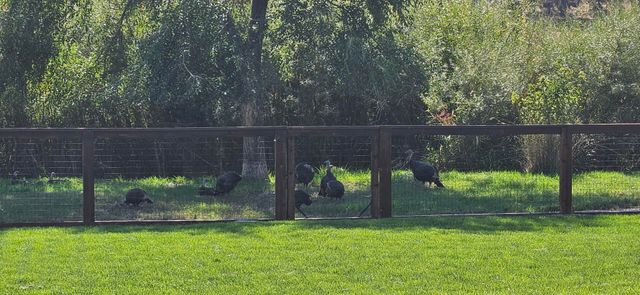 2944 SE Triangle Outfit Drive, Prineville, OR 97754