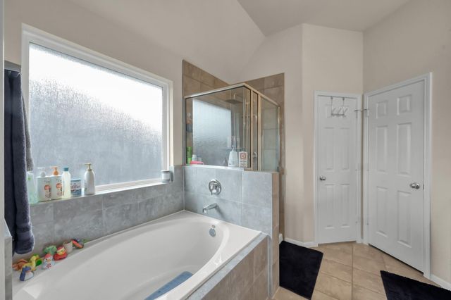 21550 Rainfall Park Drive, Spring, TX 77388