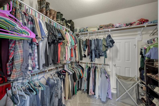 21550 Rainfall Park Drive, Spring, TX 77388