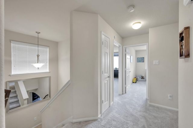 21550 Rainfall Park Drive, Spring, TX 77388