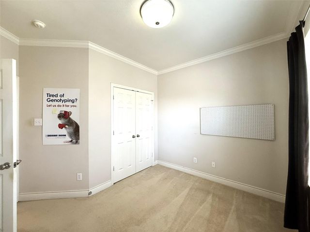 7138 Sun Village Drive, Houston, TX 77083