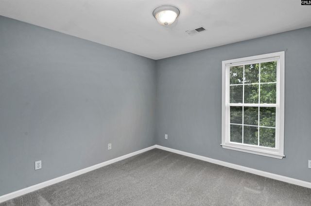 311 Gallatin Circle, Irmo, SC 29063