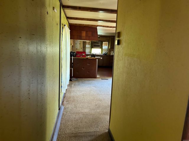 175 Achy Breaky, Greers Ferry, AR 72067