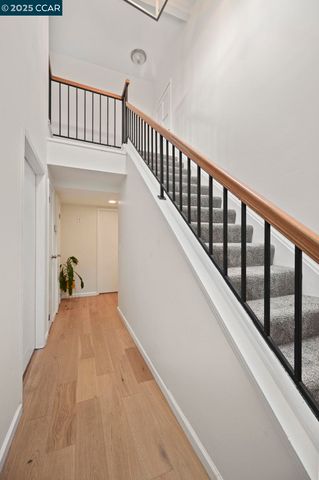 137 Dean Rd, Alamo, CA 94507