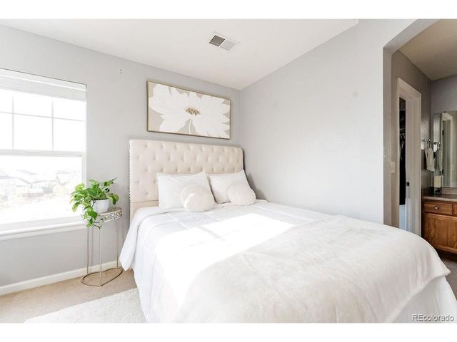 3887 Ute Mountain Trl, Castle Rock, CO 80109