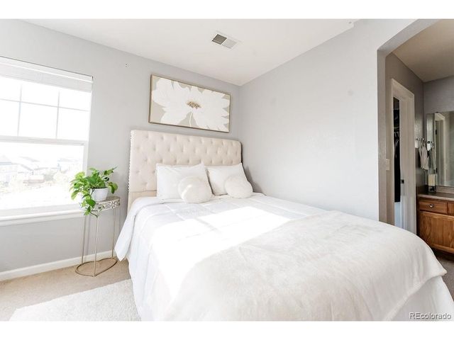 3887 Ute Mountain Trl, Castle Rock, CO 80109
