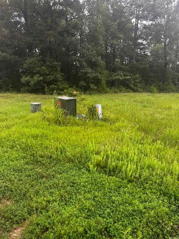 Lot 70 Cobalt Bay Drive, Shirley, AR 72153