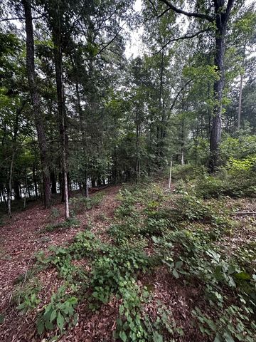 Lot 70 Cobalt Bay Drive, Shirley, AR 72153