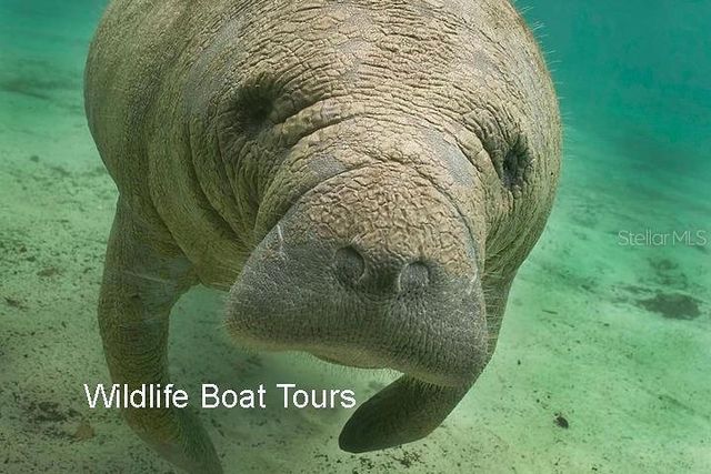 2301 VIA VENETO DRIVE, Punta Gorda, FL 33950