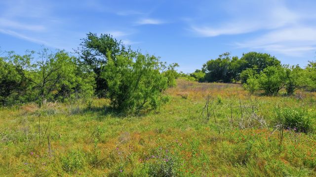 TBD Private 191 Road, Blum, TX 76627
