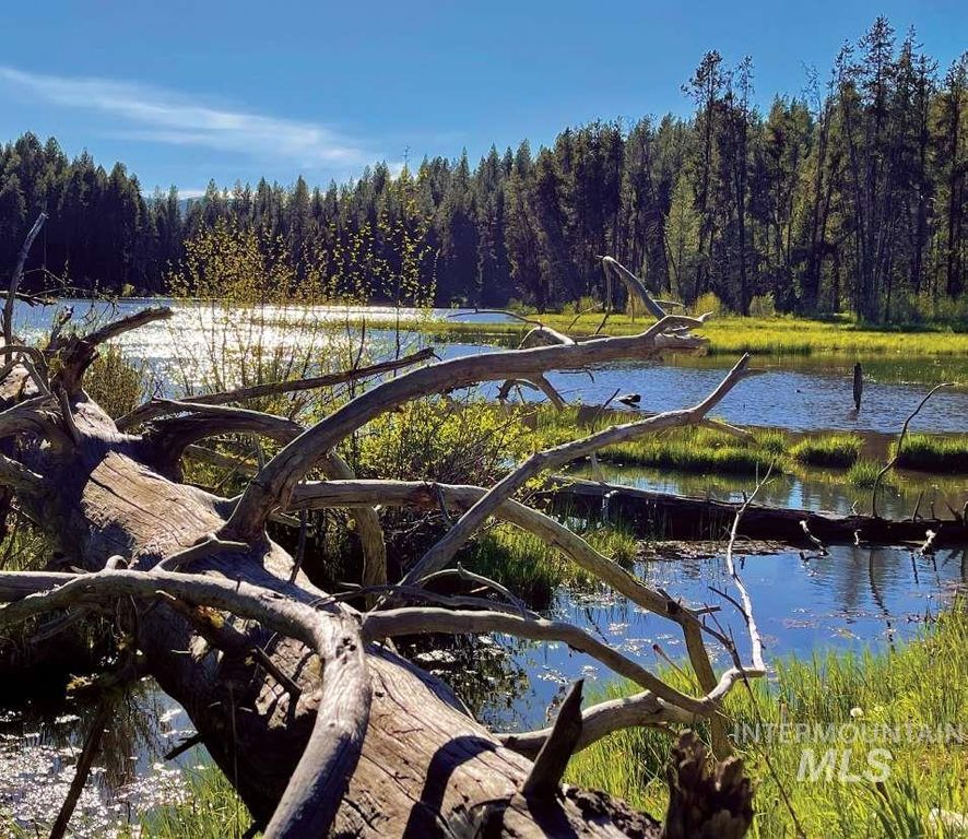 ±1812 Acres Big Creek Meadows Ranch, Cascade, ID 83611 photo 5