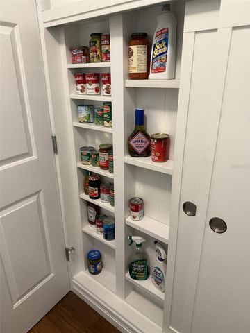 1602 CHAVEZ COURT, The Villages, FL 32159