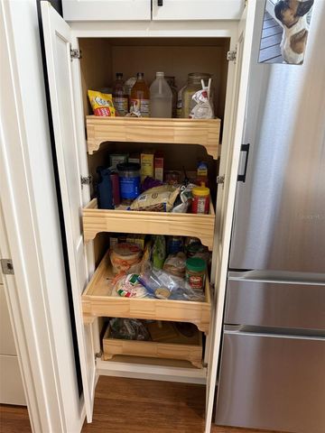 1602 CHAVEZ COURT, The Villages, FL 32159