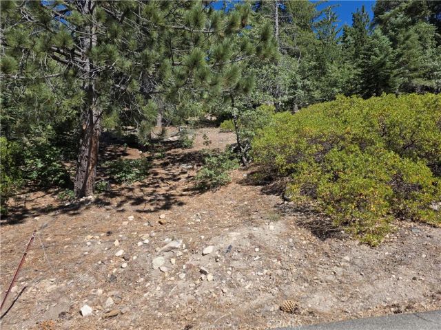 2419 Pine, Running Springs, CA 92382