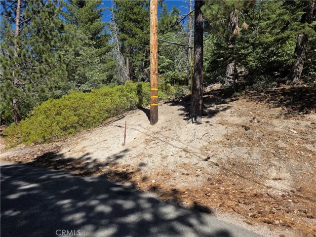 2419 Pine, Running Springs, CA 92382