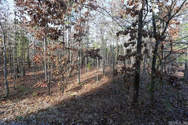36 Wildlife Lane, Mount Ida, AR 71957