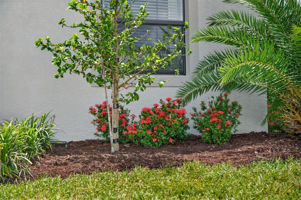 Image 15 of property listing at 15126 MISTY WATER CROSSING, Bradenton, FL 34211