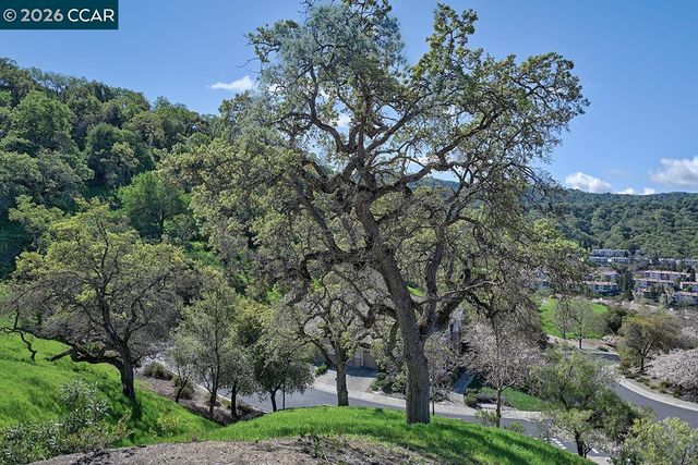 539 High Eagle Ct, Walnut Creek, CA 94595